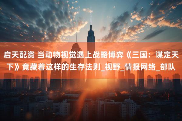 启天配资 当动物视觉遇上战略博弈《三国：谋定天下》竟藏着这样的生存法则_视野_情报网络_部队