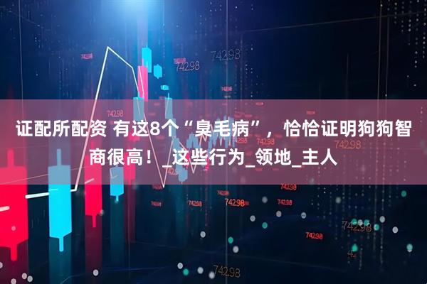 证配所配资 有这8个“臭毛病”，恰恰证明狗狗智商很高！_这些行为_领地_主人