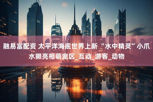 融易富配资 太平洋海底世界上新 “水中精灵”小爪水獭亮相萌宠区_互动_游客_动物