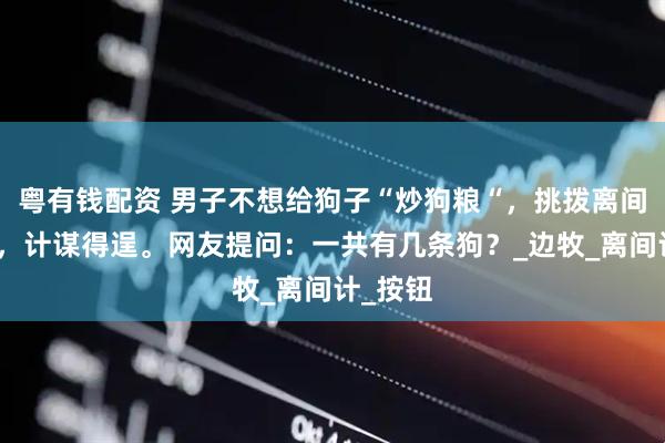 粤有钱配资 男子不想给狗子“炒狗粮“，挑拨离间两只狗，计谋得逞。网友提问：一共有几条狗？_边牧_离间计_按钮