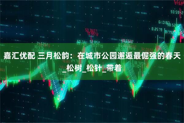 嘉汇优配 三月松韵：在城市公园邂逅最倔强的春天_松树_松针_带着