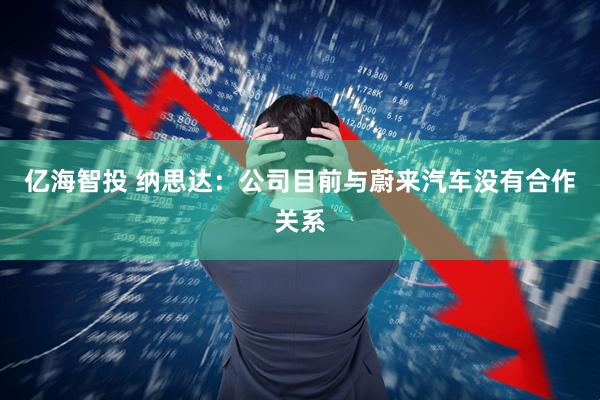 亿海智投 纳思达：公司目前与蔚来汽车没有合作关系