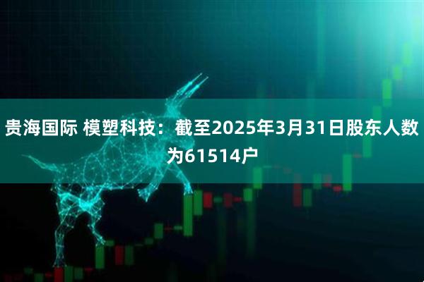 贵海国际 模塑科技：截至2025年3月31日股东人数为61514户