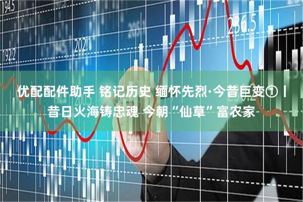 优配配件助手 铭记历史 缅怀先烈·今昔巨变①丨昔日火海铸忠魂 今朝“仙草”富农家