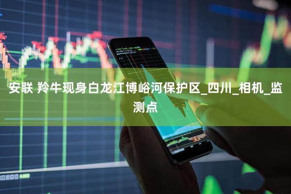 安联 羚牛现身白龙江博峪河保护区_四川_相机_监测点