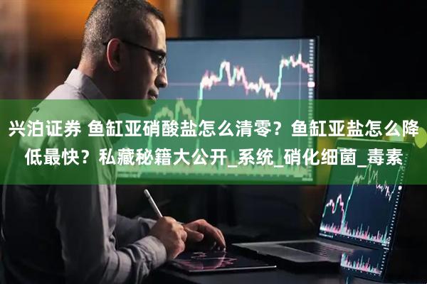 兴泊证券 鱼缸亚硝酸盐怎么清零？鱼缸亚盐怎么降低最快？私藏秘籍大公开_系统_硝化细菌_毒素