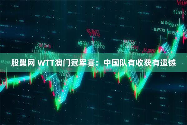 股巢网 WTT澳门冠军赛：中国队有收获有遗憾