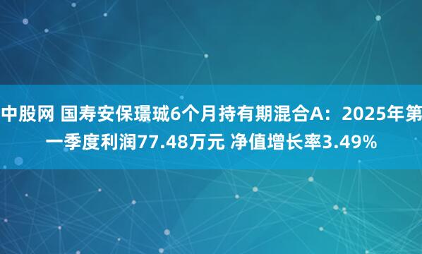 中股网 国寿安保璟珹6个月持有期混合A：2025年第一季度利润77.48万元 净值增长率3.49%