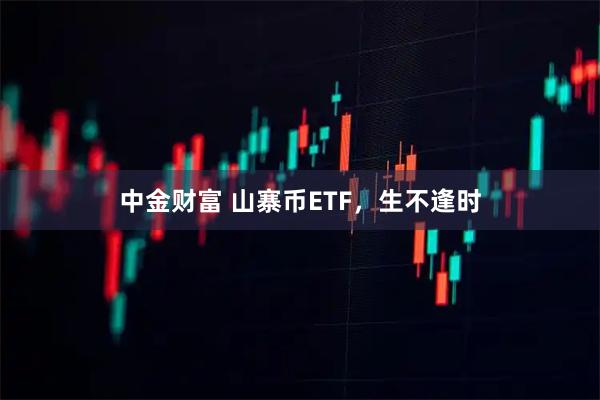 中金财富 山寨币ETF，生不逢时